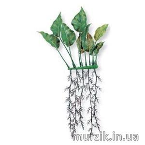 Пластиковое растение Hagen ANUBIAS 15см 41460138 фото