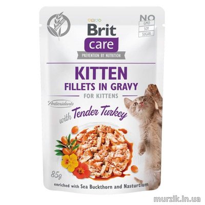 Вологий корм Brit Care Cat Pouch для кошенят, філе в соусі, ніжна індичка, 85 г 100531 фото