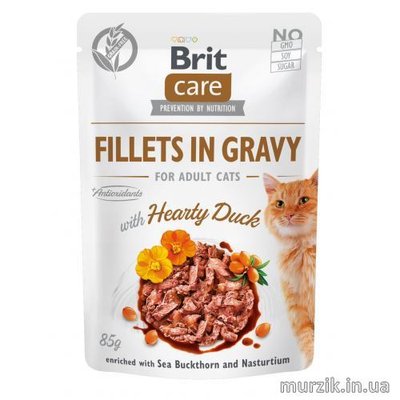 Влажный корм Brit Care Cat Pouch для кошек, филе в соусе, утка, 85 г 100529 фото
