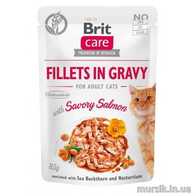 Влажный корм Brit Care Cat Pouch для кошек, филе в соусе, пикантный лосось, 85 г 100530 фото
