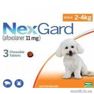 Таблетки от блох и клещей NexGard (Нексгард) S для собак весом от 2 до 4 кг. (1 таблетка) 6692210 фото