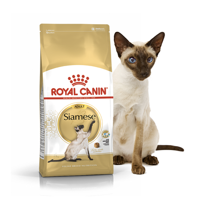Сухий корм для котів та кішок Royal Canin (Роял Канін) Siamese 10 кг. RC 2551100 фото