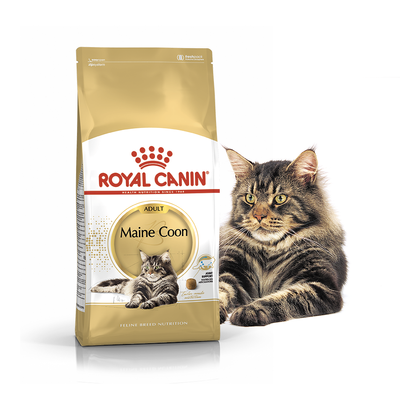 Cухий корм для котів та кішок Royal Canin (Роял Канін) Mainecoon 4 кг. RC 2550040 фото