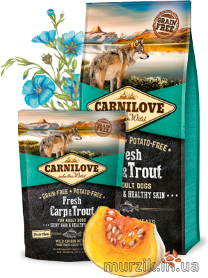 Сухой корм для взрослых собак Carnilove Fresh Carp & Trout с карпом и форелью 12 кг. 41489332 фото