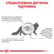 Сухі корми для кішок та котів Royal Canin (Роял Канін) Gastro Intestinal Feline 0,4 кг. RC 39050041 фото 6