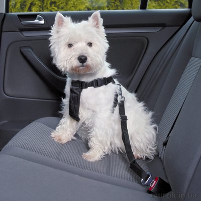 Пояс-шлея безопасности для собак в авто S 30-60 см 8756202 фото