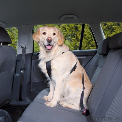 Пояс-шлея безопасности для собак в авто M 50-70 см 8756204 фото