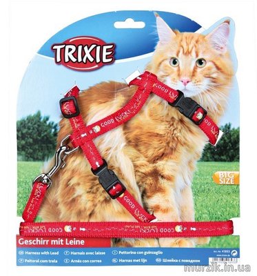 Поводок+шлея для больших кошек "Trixie Good Luck" нейлон красный 34-57 см/13 мм 1528290 фото