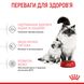 Сухий корм Royal Canin (Роял Канін) для кошенят віком від 1 до 4 місяців Babycat 0,4 кг. RC 2544004 фото 5