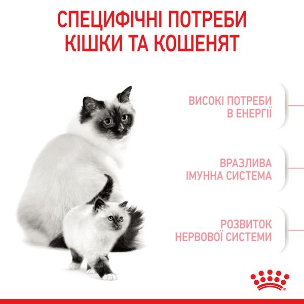 Сухий корм Royal Canin (Роял Канін) для кошенят віком від 1 до 4 місяців Babycat 10 кг. RC 2544100 фото