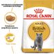 Royal Canin (Роял Канін) сухий корм для котів та кішок British Shorthair 0,4 кг. RC 2557004 фото 6