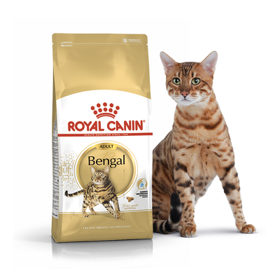 Сухий корм для котів та кішок Royal Canin (Роял Канін) Bengal 2 кг. RC 4370020 фото