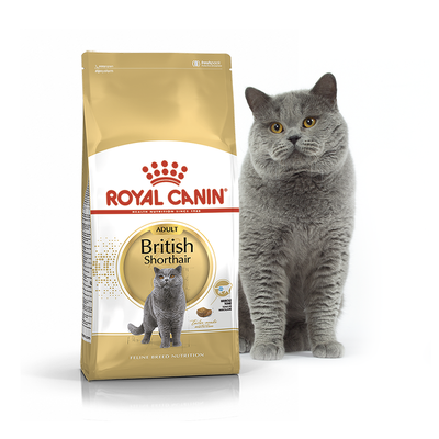 Royal Canin (Роял Канін) сухий корм для котів та кішок British Shorthair 4 кг. RC 2557040 фото