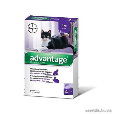 Адвантейдж Advantage для котов №80 (от 4 кг.) (1 тюбик) 1711764 фото