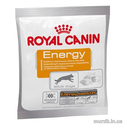 Royal Canin (Роял Канин) Energy (Лакомство) 50г 1437627 фото
